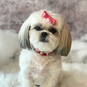 Meet your Posher, Lisa